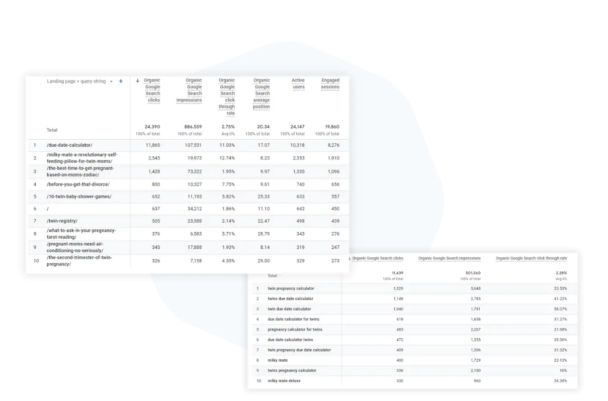 Google Analytics Organic Traffic Report​