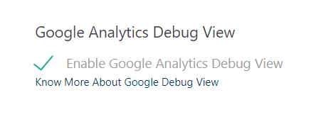 Google Analytics Debug View